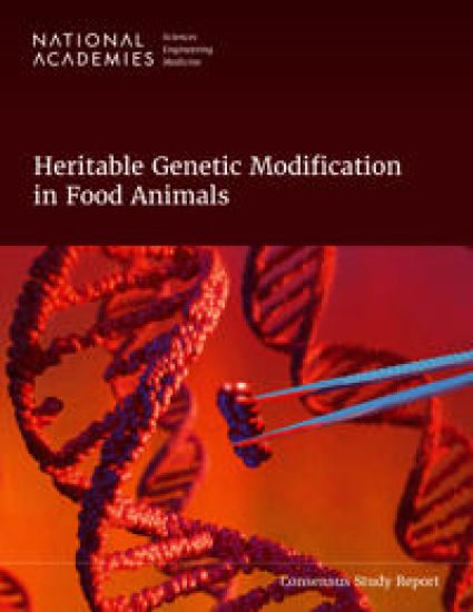 Heritable Genetic Modification in Food Animals