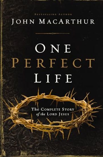One Perfect Life
