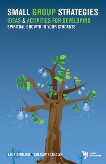 Small Group Strategies