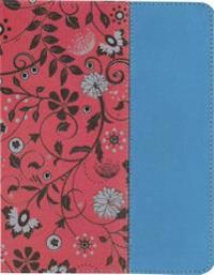 NIV, Beautiful Word Coloring Bible for Teen Girls, Imitation Leather, Pink/Blue: Hundreds of Verses to Color