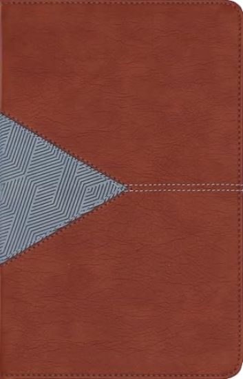 NIV Application Bible, Personal Size, Leathersoft, Brown/Blue, Red Letter, Comfort Print: Bringing the Ancient Message of the Bible Into Your World