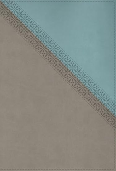 NIV Application Bible, Leathersoft, Teal/Grey, Red Letter, Comfort Print: Bringing the Ancient Message of the Bible Into Your World