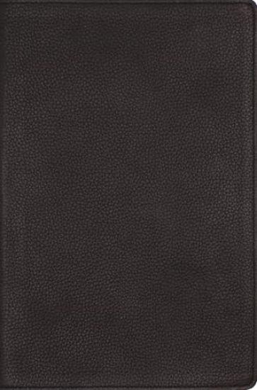 NRSVue, Single-Column Reference Bible, Genuine Calfskin Leather, Black, Art Gilded Edges, Comfort Print