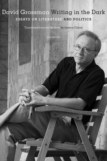 Writing in the Dark: Essays on Literature and Politics