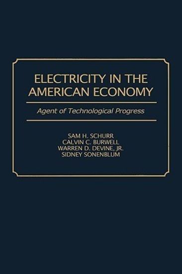 Electricity in the American Economy