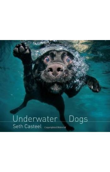 Underwater Dogs