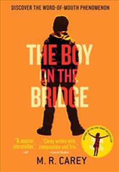 Boy on the Bridge