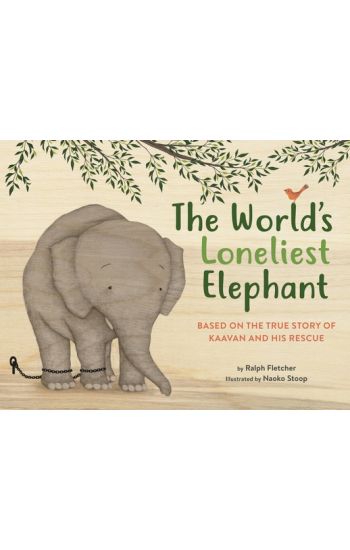 The World's Loneliest Elephant