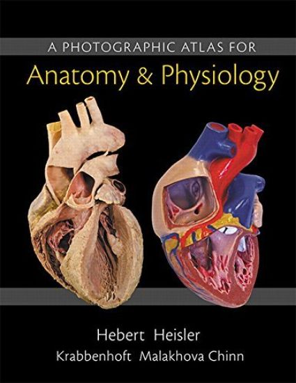 Photographic Atlas for Anatomy & Physiology, A (ValuePack only)
