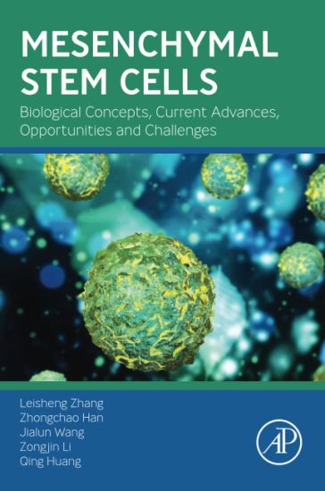 Mesenchymal Stem Cells