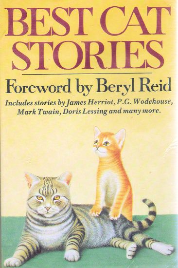 Best Cat Stories