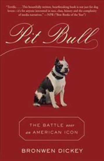 Pit Bull