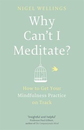 Why Can't I Meditate?