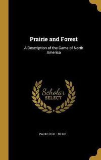 Prairie and Forest