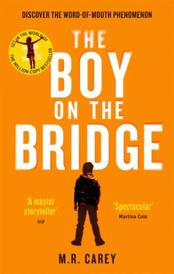 Boy on the Bridge