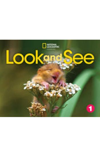 Look and See 1 with the Spark platform