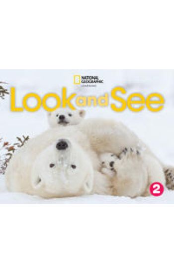 Look and See 2 with the Spark platform