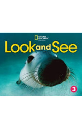 Look and See 3 with the Spark platform