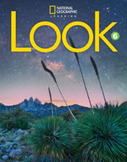 Look 6 with the Spark platform (BRE)