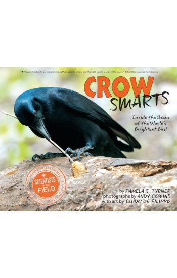 Crow Smarts: Inside the Brain of the World's Brightest Bird