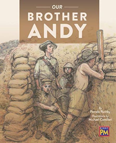 Our Brother Andy: Bookroom Package Silver Level 24 Grade 3