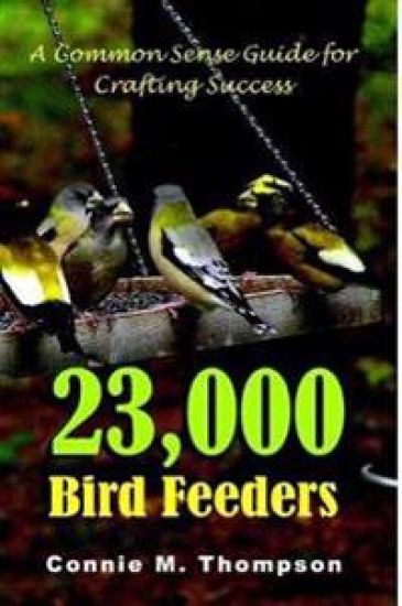 23,000 Bird Feeders: A Common Sense Guide for Crafting Success