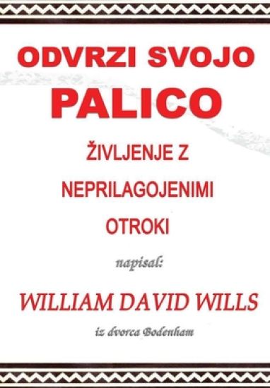 Odvrzi svojo palico - življenje z neprilagojenimi otroki