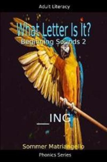 What Letter Is It? Beginning Sounds 2