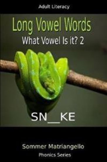 Long Vowel Words: What Vowel Is It? 2