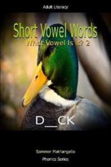 Short Vowel Words: What Vowel Is It? 2