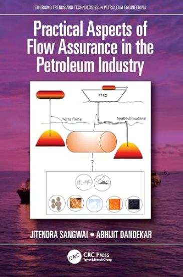 Practical Aspects of Flow Assurance in the Petroleum Industry