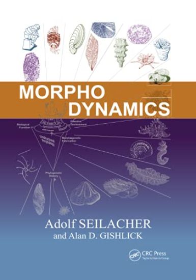 Morphodynamics