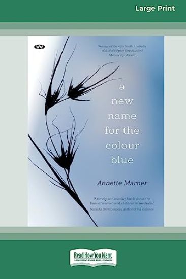 A New Name for the Colour Blue [Large Print 16pt]