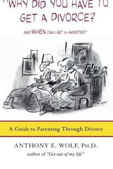Why Did You Have to Get a Divorce? and When Can I Get a Hamster?: A Guide to Parenting Through Divorce