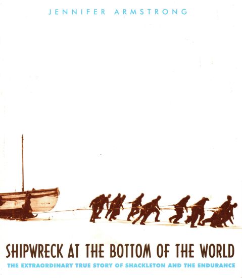 Shipwreck at the Bottom of the World