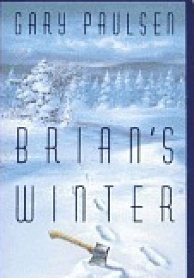Brian's Winter