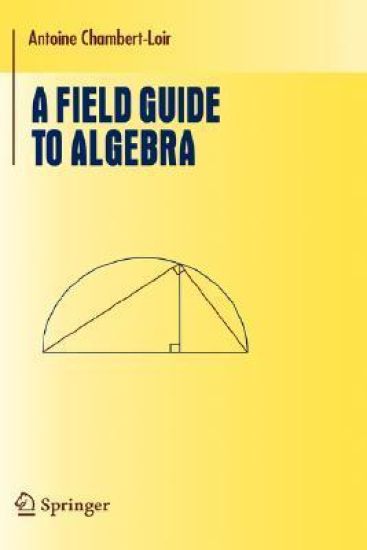 A Field Guide to Algebra