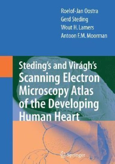 Steding's and Virágh's Scanning Electron Microscopy Atlas of the Developing Human Heart