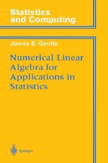 Numerical Linear Algebra for Applications in Statistics