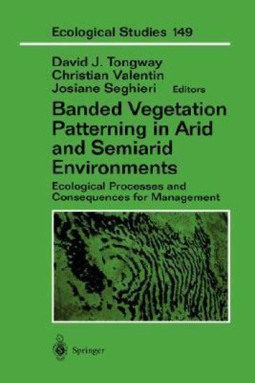 Banded Vegetation Patterning in Arid and Semiarid Environments