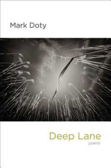 Deep Lane
