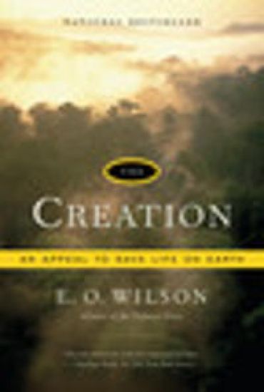The Creation