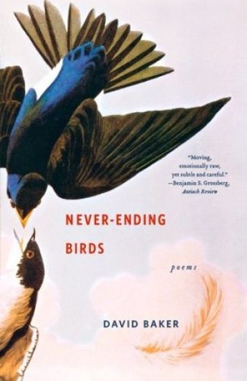 Never-Ending Birds