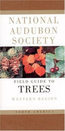 Field Guide To North American Trees