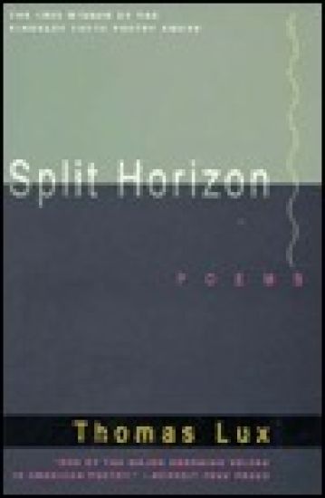 Split Horizon
