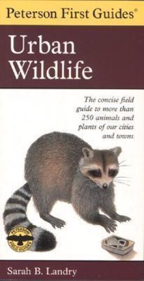 Peterson First Guide to Urban Wildlife
