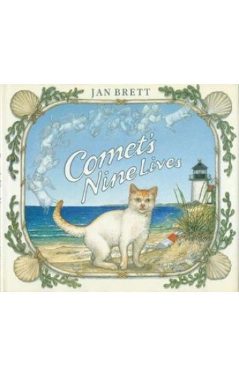 Comet's Nine Lives