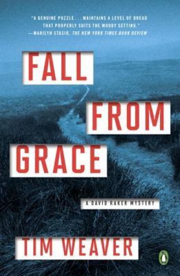 Fall from Grace: A David Raker Mystery