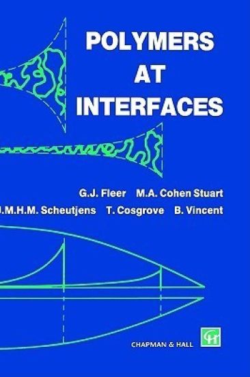 Polymers at Interfaces