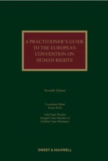 A Practitioner's Guide to the European Convention on Human Rights